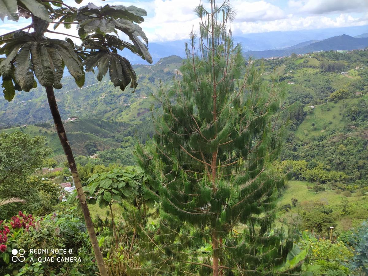 Mirador Finca Morrogacho Manizales Esterno foto