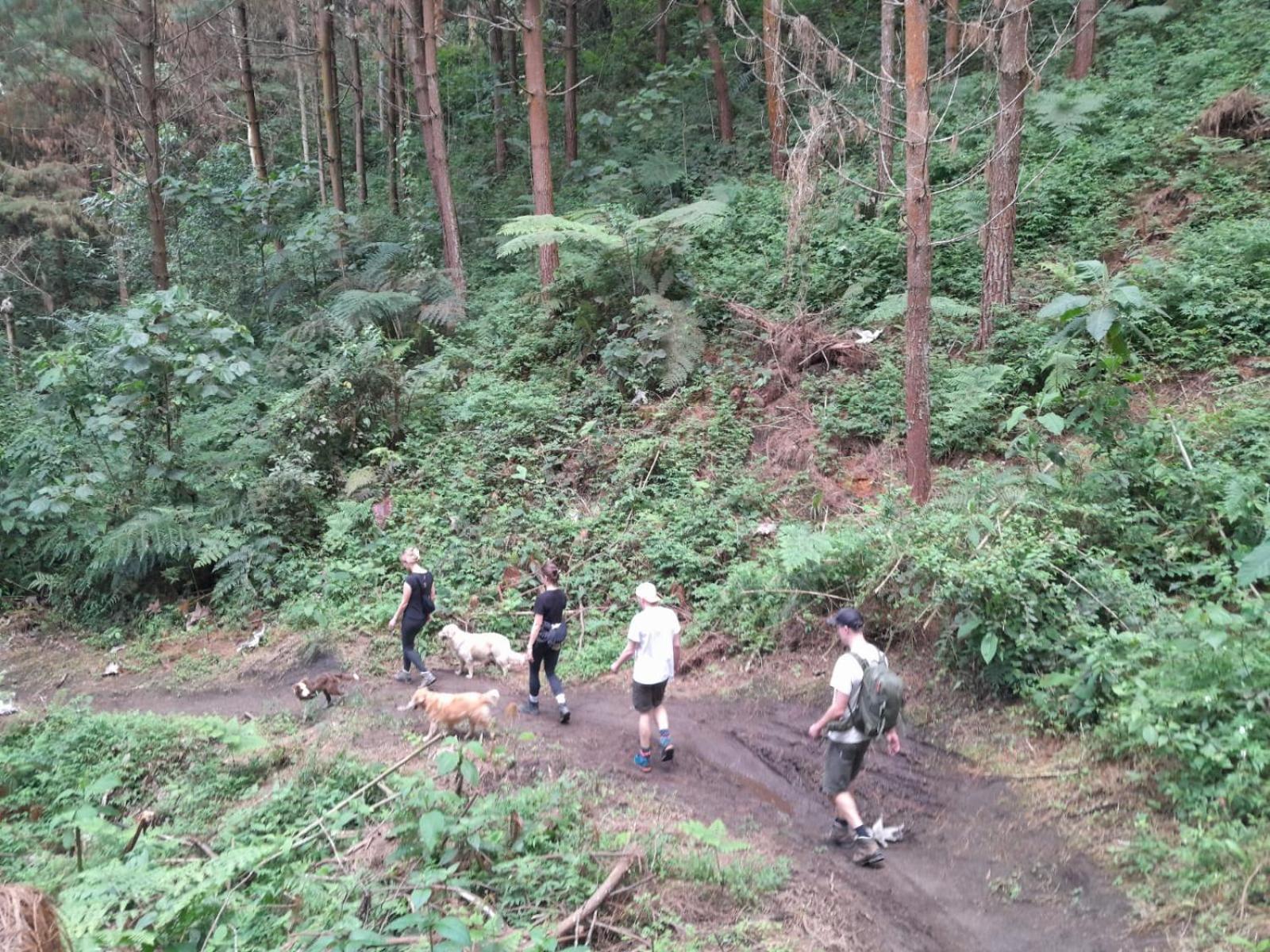 Mirador Finca Morrogacho Manizales Esterno foto